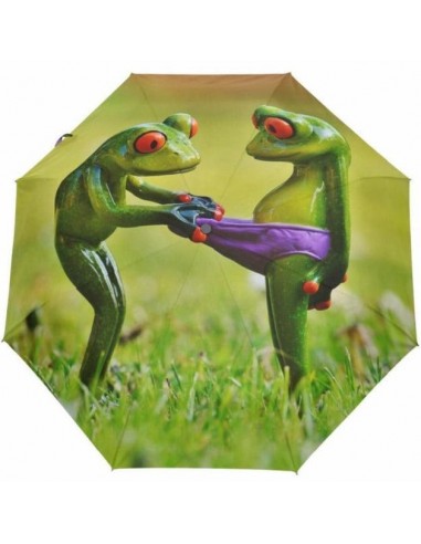 Parapluie Grenouille livraison gratuite