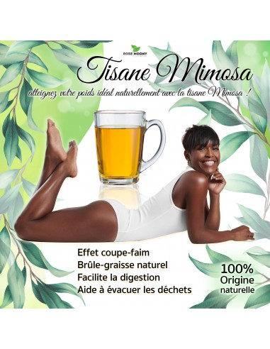 Pack Spécial perte de poids 1 KG Tisane Minceur Mimosa (10 paquets + 1 paquet offert) ouvre sa boutique